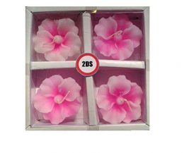 2ds Hibiscus floating candles pink